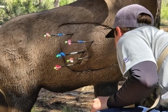 503164993_122198986778255674_2737701640907729569_n